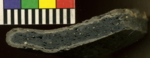 L_V20q1042 J03q0064-p09 R709 mR bo -LCT f37.jpg L_V20q1042 J03q0064-p09 R709 mR bo -LCT f37